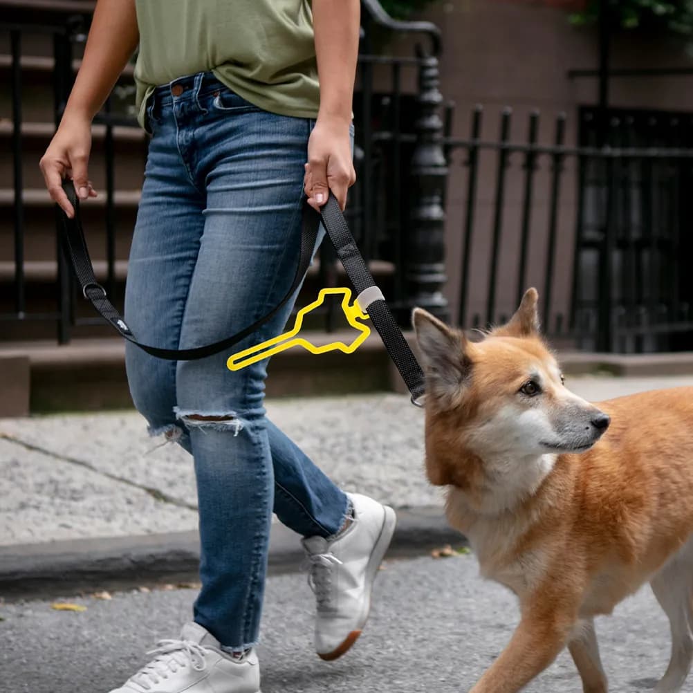 2 Pezzi Porta Sacchetti per Escrementi di Cane con Clip per Guinzaglio, Porta Sacchetti per Rifiuti Mani Libere per Animali Domestici, Clip per Guinzaglio per Passeggiate con Cane e Gatto