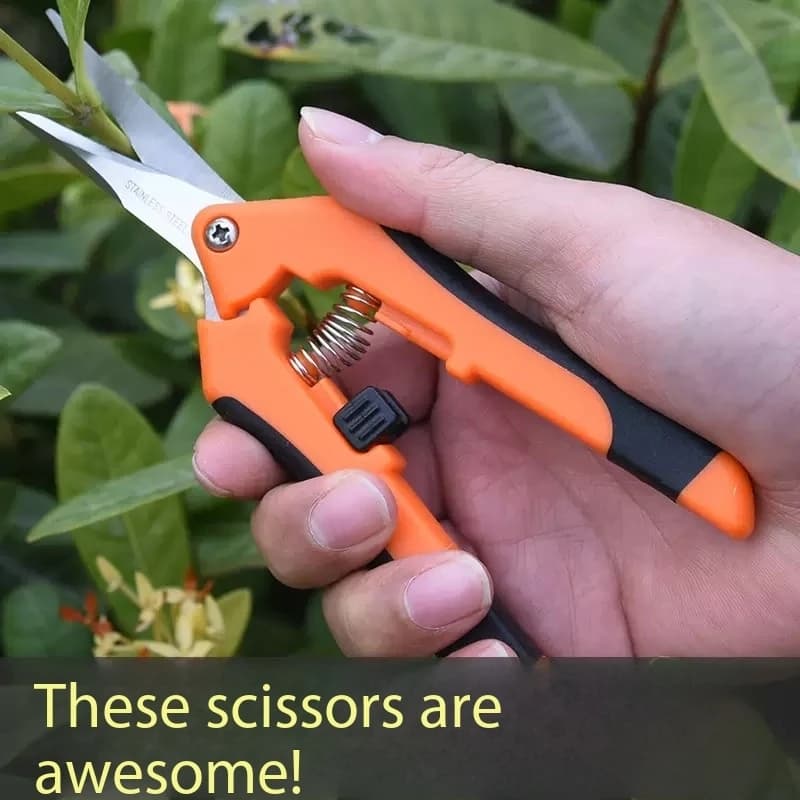 Household small flower pruning shears, fruit tree pruning shears, horticultural pruning shears