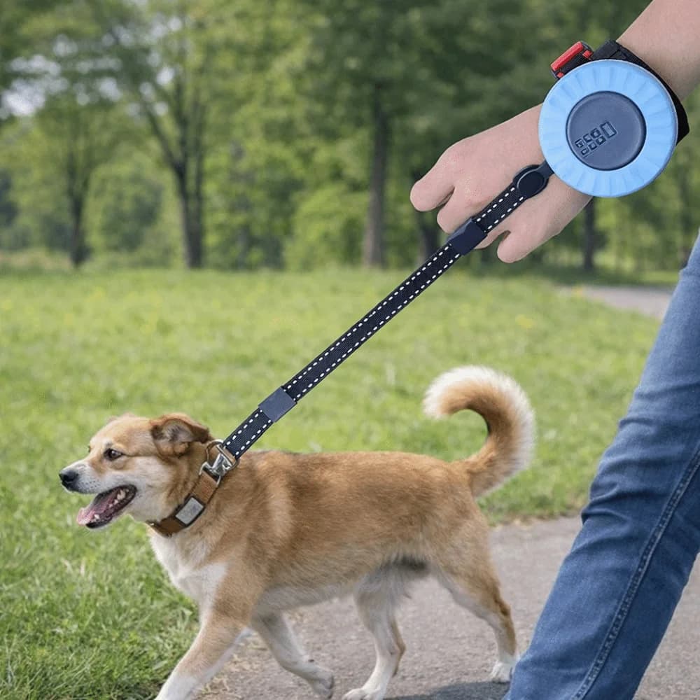 Guinzaglio per Cani Retrattile Automatico con Impugnatura Antiscivolo, Corda Regolabile per Passeggiate a Mani Libere, Blocco con Un Solo Clic