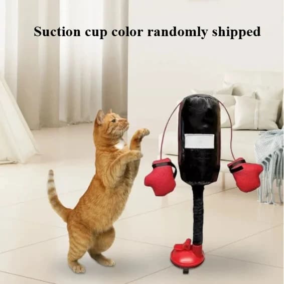 Boxing toys for cats shaped as a cartoon with gloves and suction cups, indoor toy for kittens and adult cats, casual color, shipping included