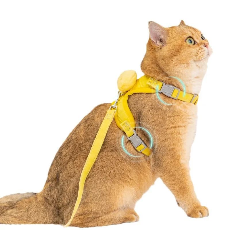 Cartoon Pet Harness and Leash Set, Escape-Proof Dog Cat Walking Lead, Pet Supplies for Outdoor