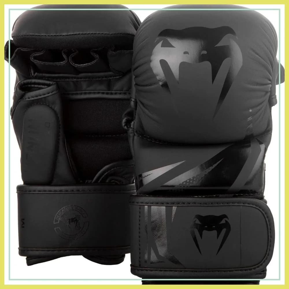 Guantoni da Boxe Professionali, Attrezzatura Premium per Allenamento con Sacco e Guantoni, 16oz, Chiusura con Velcro
