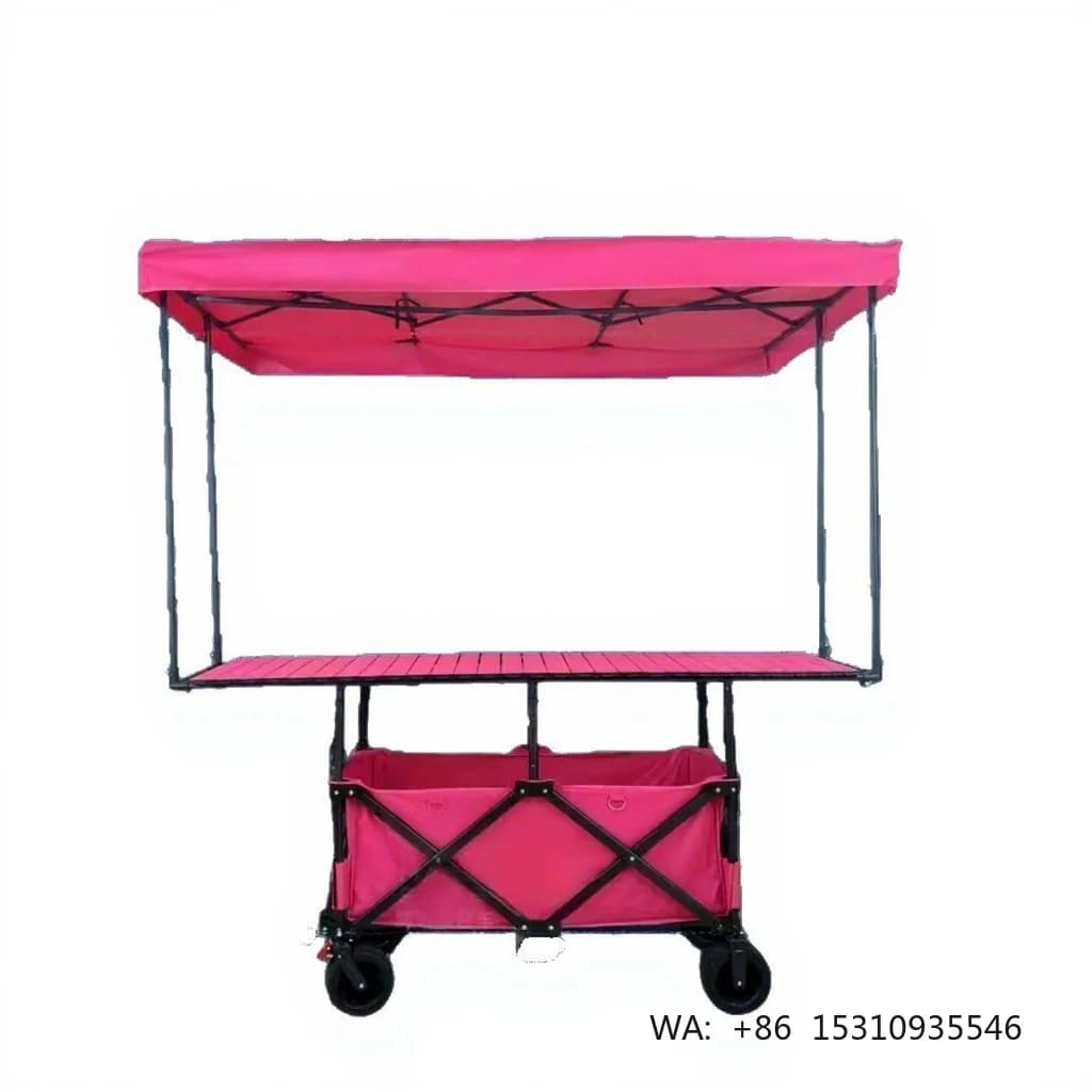 Outdoor Custom Wide Wheel Folding Cart Garden Wagon Beach Folding Camping Wagon with Removable Sunshade Wagon Stroller