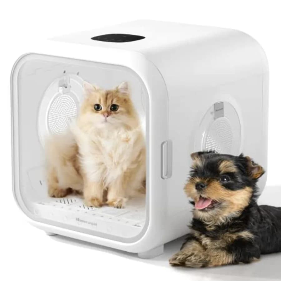 Asciugatrice Automatica per Animali Domestici 360 con Controllo Intelligente della Temperatura per Cani di Piccola Taglia, Funzionamento Silenzioso, Plastica Resistente in Bianco