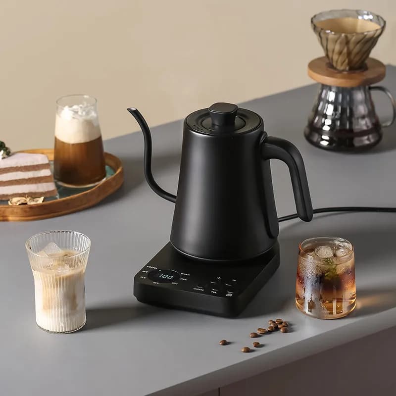 110V/220V Electric Kettle 304 Stainless Steel Temperature Control Boil Kettle Kung Fu Teapot Gooseneck Hand Brew Coffee Pot 1L