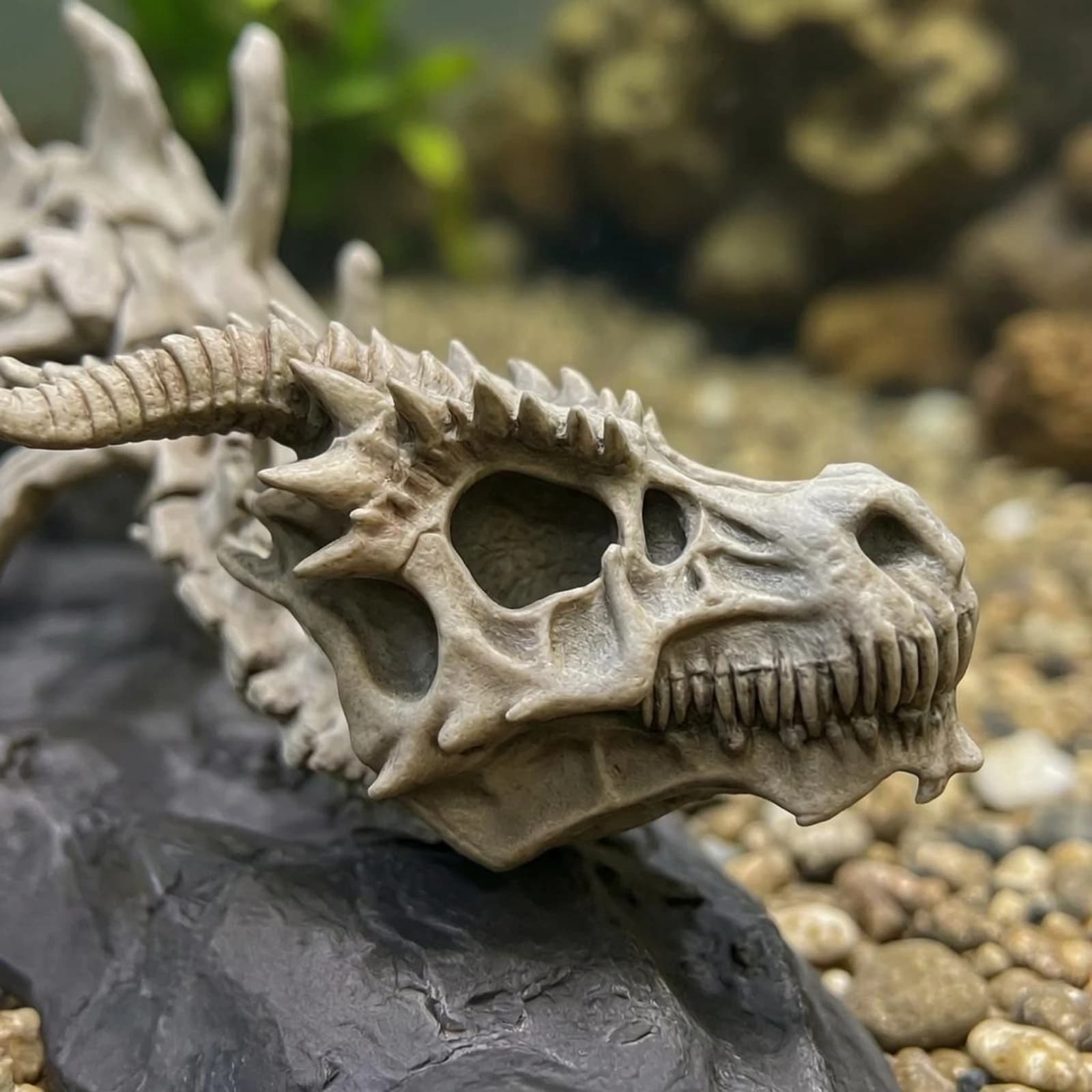 Aquarium Dragon Skeleton Skeletal Dragon Skeleton Ornament Aquarium Skull Statue Water Safe Natural Look