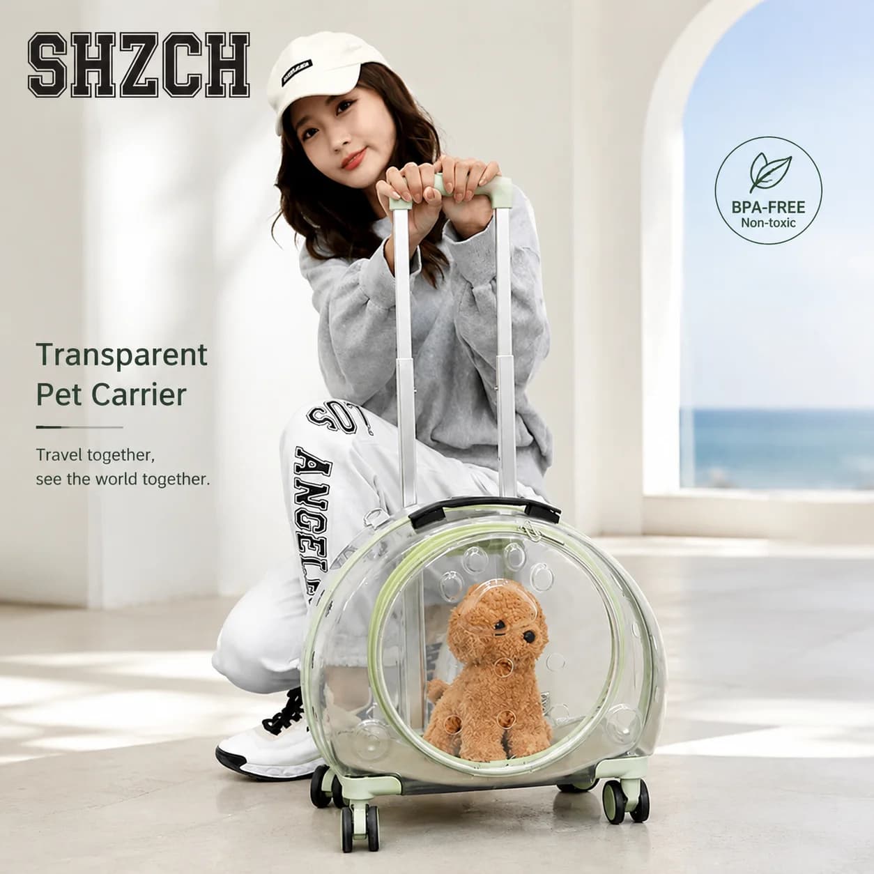 Acrylic Pet Rolling Carrier Breathable Transparent Cat Backpack Scratch-Resistant Travel Case for Dogs & Cats
