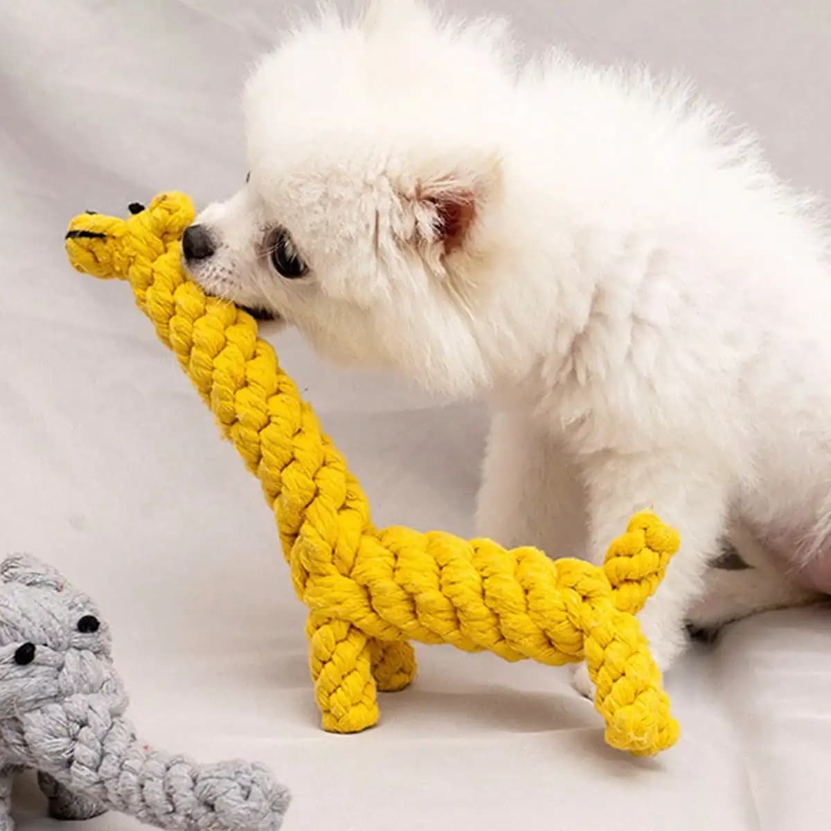 1 pezzo di corda in cotone intrecciata a mano con nodo, resistente ai morsi, per cani di piccola e media taglia, giocattolo per animali domestici.