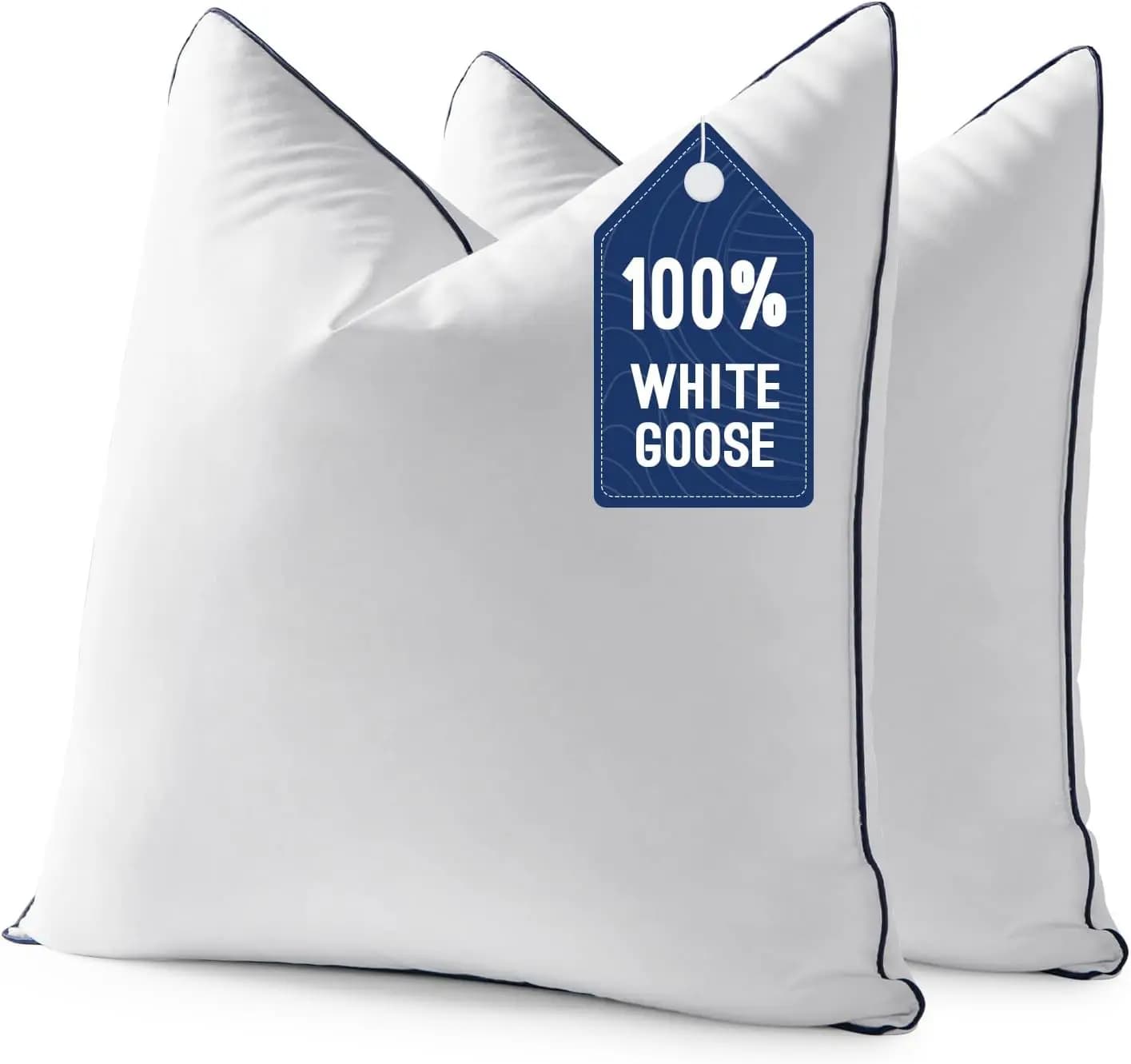 Set di 2 Cuscini in Piuma d'Oca 24x24 con Fodera 100% Cotone, Morbidi Cuscini Decorativi per Divano, Letto, Soggiorno