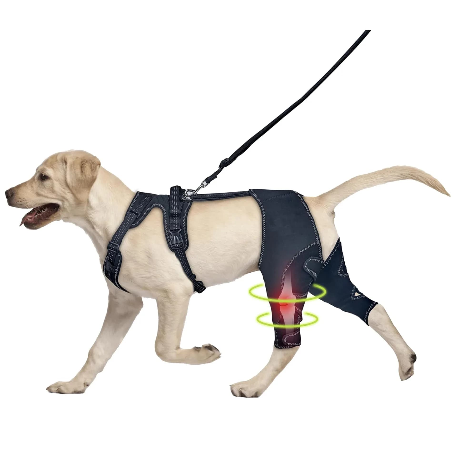 Ginocchiera per cani con supporto cerniera in metallo - Tutore ACL regolabile per legamenti rotti, patoli lussati e artrite