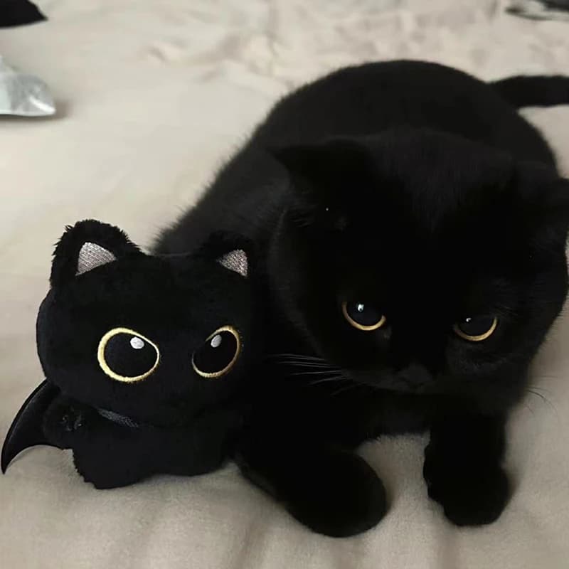 New Cute Black Cat Plush Toy Keychain Cartoon Kitten Soft Stuffed Doll Pendant Car Key Ring Backpack Bag Decor Kid Gift