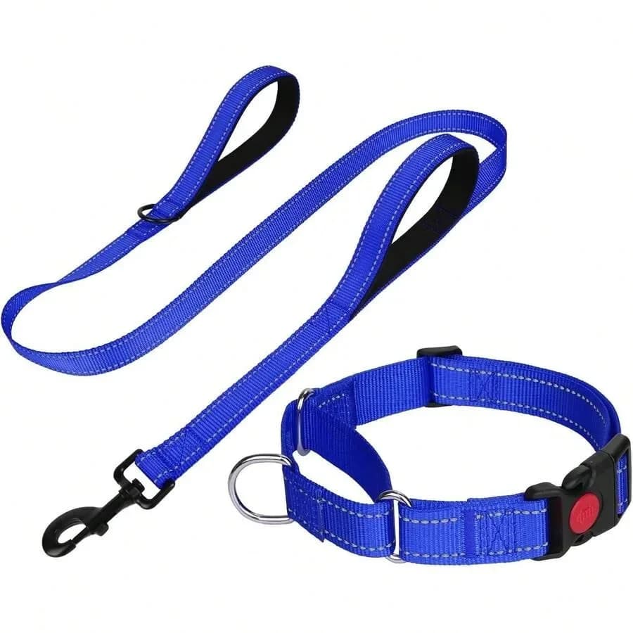 【New style】Reflective Martingale Collar Dogs, Quick Release, 5FT Double Handle Padded Dog Leash, Dog Collar And Leash Set, Adju