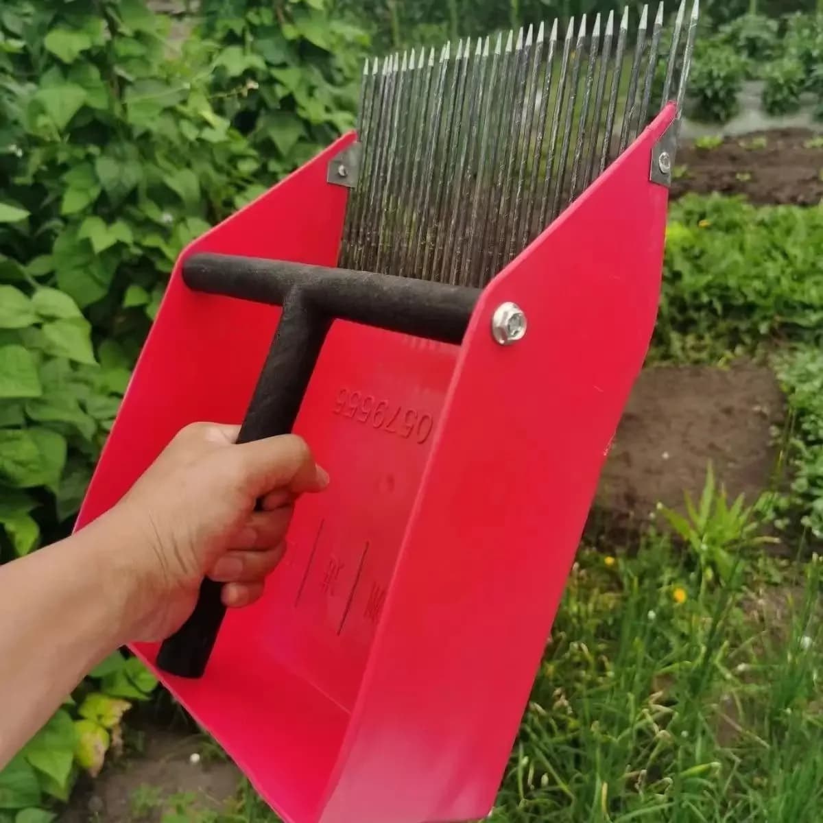 Tools for the collection of blueberries Tools for the collection of blueberries Artide for the collection of blueberries Seeds of red beans Seeds of tree