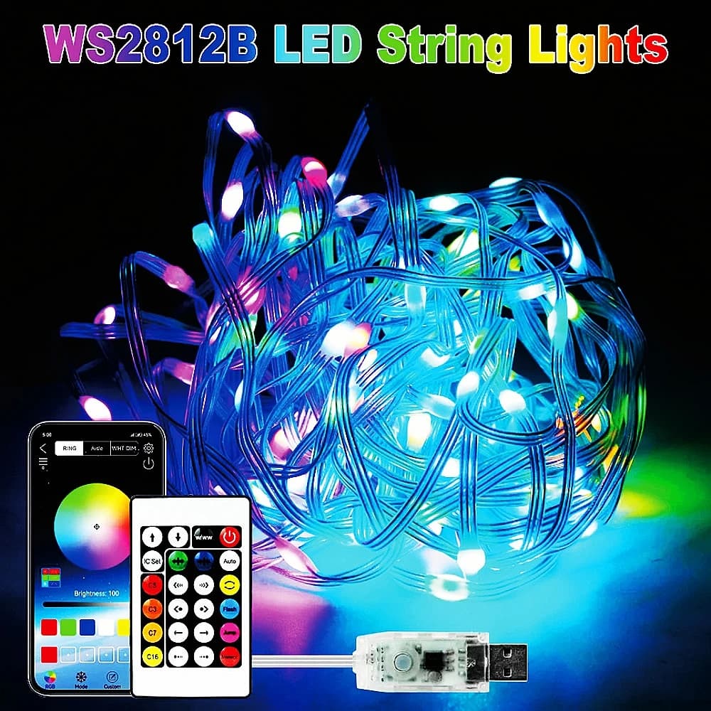 USB LED Smart app RGBIC Fairy String Lights Strip WS2812B 5V Impermeabile con 24 tasti Controllo musicale Bluetooth remoto 5M 10M 15M