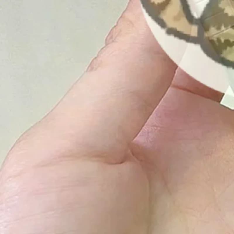 1 Pennello Angolato per Ombretto Naso, Pennelli Trucco Contorno Viso, Strumenti per Ombreggiatura Occhi e Naso
