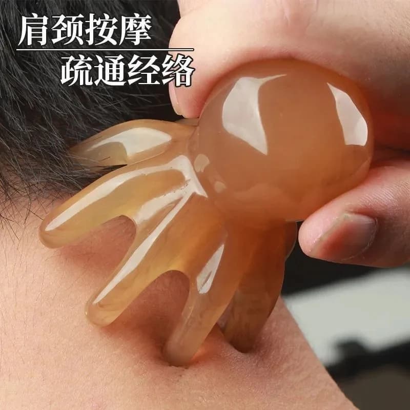 Poultry Shaped Massage Combs with Resin Head, Capelluto Cuoio Massage Brush, Agopuntura and Gua Sha Combo to Relieve Fatica