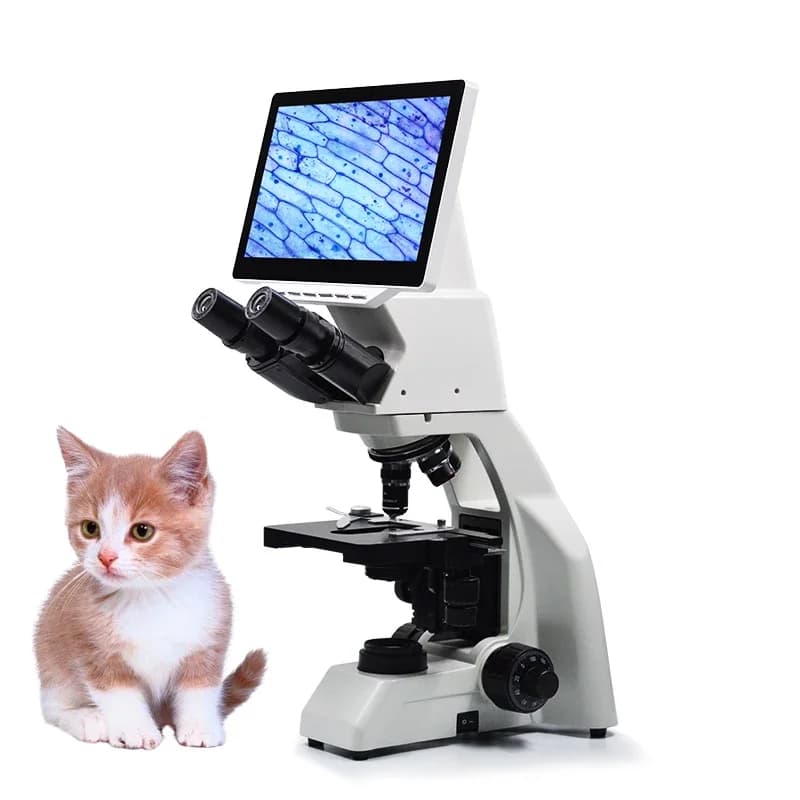 Microscopio digitale veterinario multifunzionale da laboratorio professionale con schermo LCD per veterinario
