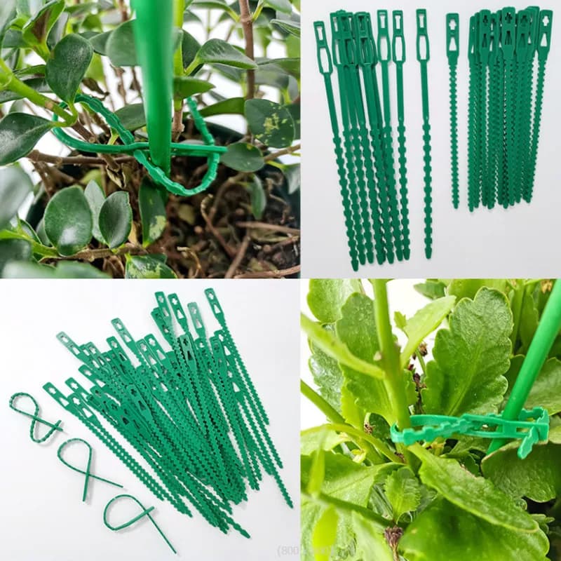 Fascette per cavi per piante in plastica regolabili da 11/13/17/22 cm, riutilizzabili, per arrampicata su alberi da giardino, supporto per vite, pomodoro, clip per stelo