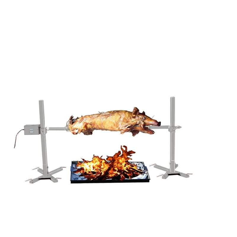 Manufacturer Custom Camping Barbecue Spit Barbecue Shop Set Charcoal Barbecue Stick Grill