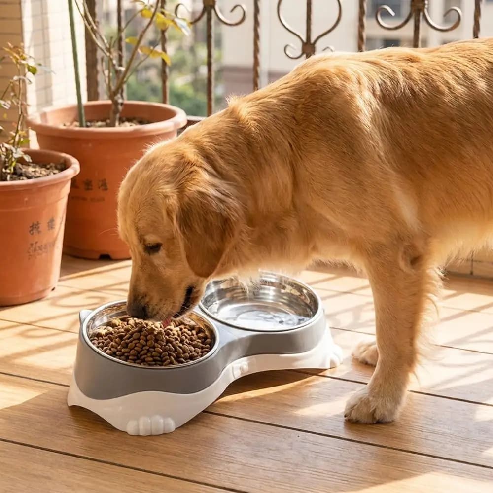 Raised Neck Protection Cat Ear Pet Double Bowl Non-Skid Anti-spill Pet Feeding Bowl Anti-Tip Large Capacity Dog Food Bowl