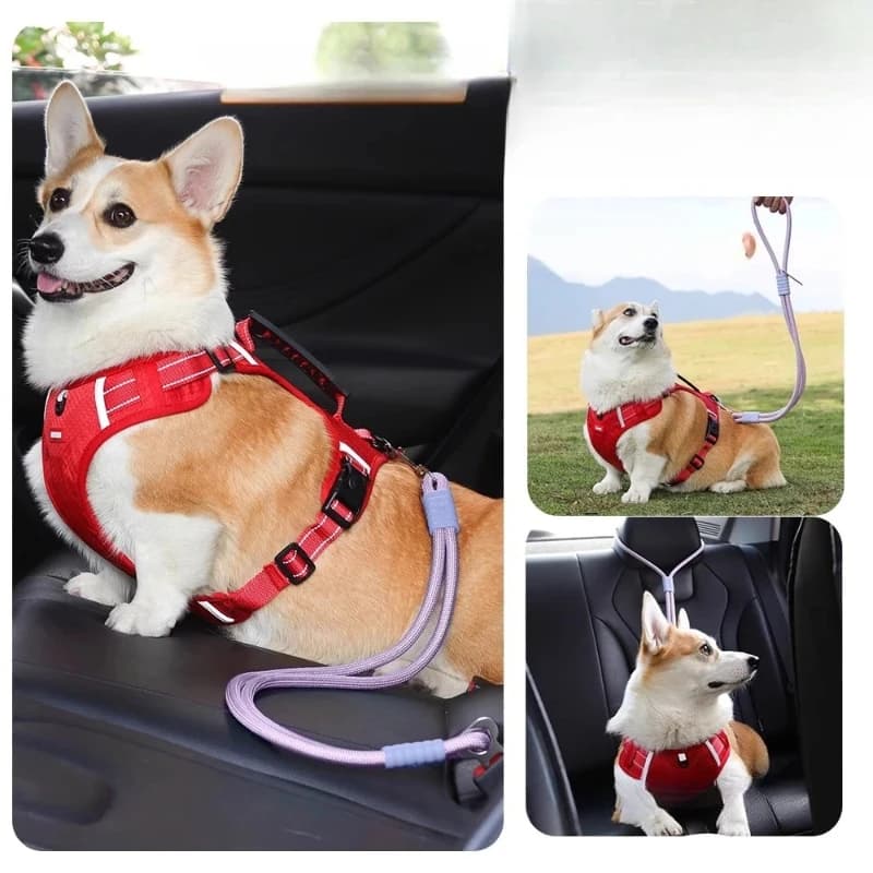 Cintura di sicurezza per auto per animali domestici Guinzaglio per auto per cani Catena per cani Guinzaglio per gatti Corgi Capelli dorati Corda di sicurezza per auto Accessori interni per automobili