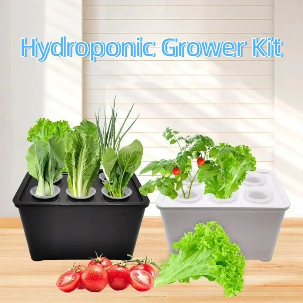 Hydroponic Cultivation Kit to 6 Holes, Self-reliating Vases for Semenzai, Planting Container Without Sill, Plastic Vases Reinforced for Vivaio, Domestic Hydroponic