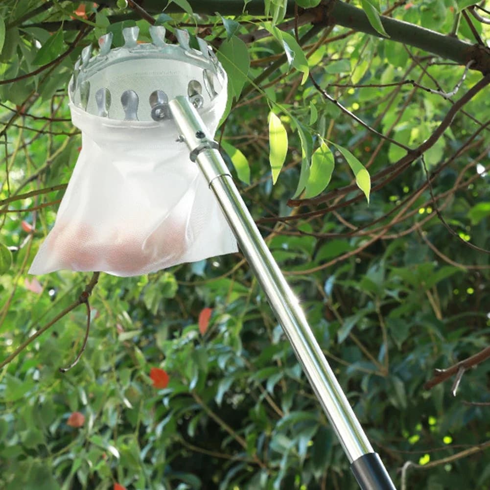 Strumento per la raccolta del frutteto dell'albero alto con asta telescopica per frutta con asta di giunzione in acciaio inossidabile per giardino agricolo