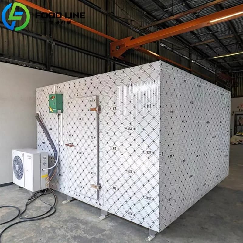 Personalized Frying Cell for Cold Food, Meat and Snack Freezer, Refrigeration and Processing Unit