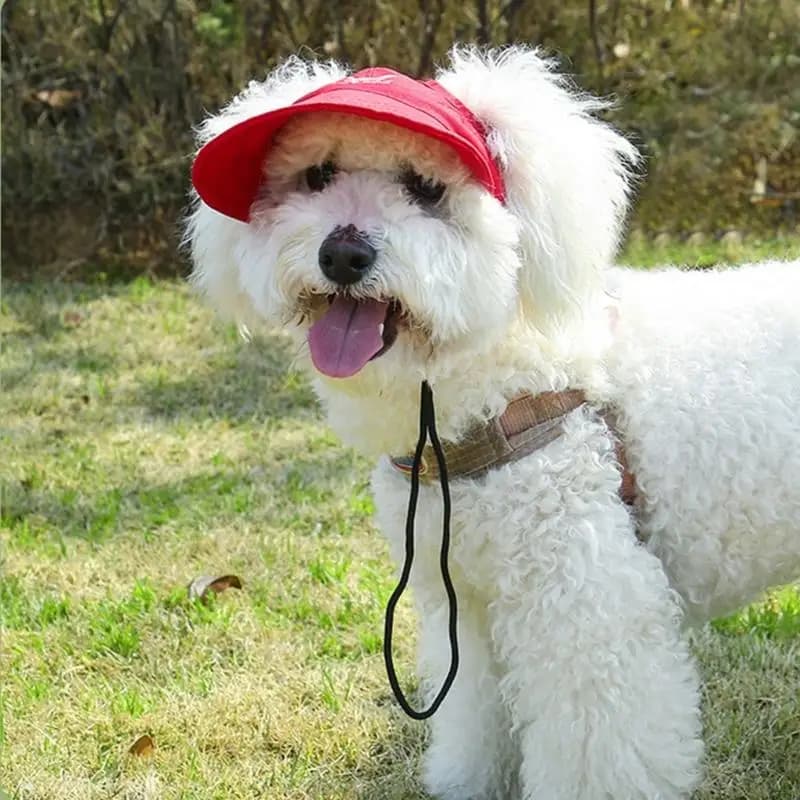 Cappello per animali domestici alla misura regolabile, berretto da sole per cani piccola e taglia, passeggiate