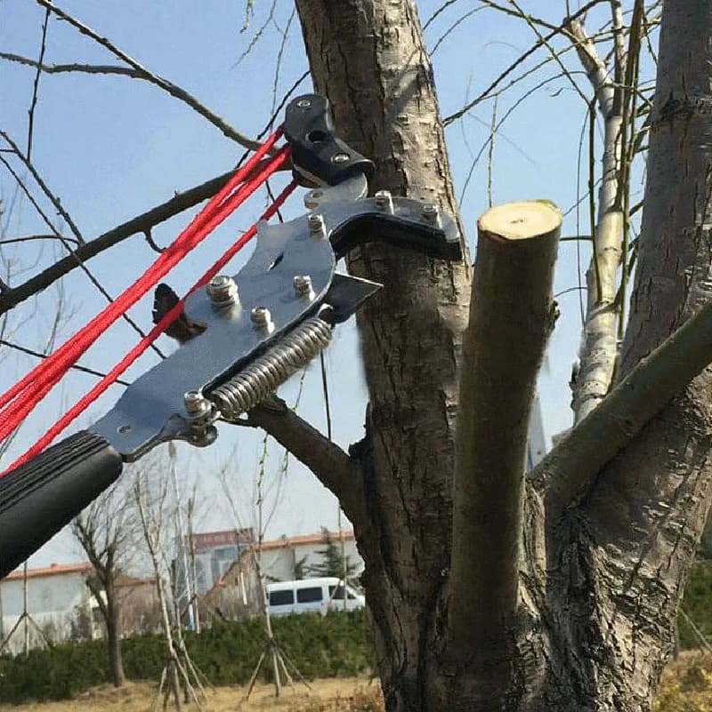 Shears for tall branches, saws for tall branches, garden telescopic shears, pruning of branches
