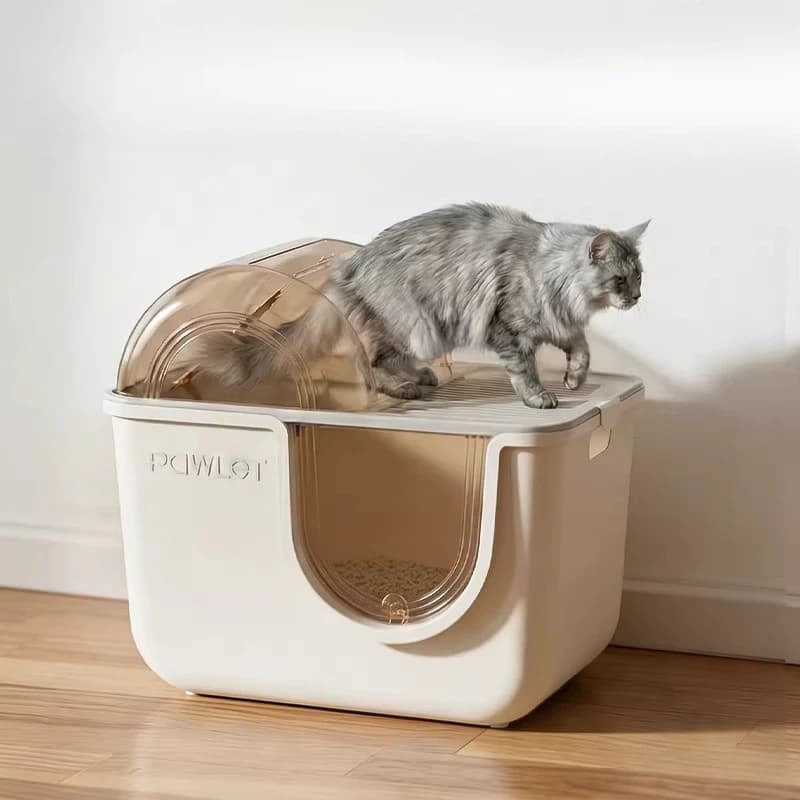 Lettiera per gatti automatica autopulente in plastica con accessori per l'addestramento e la defecazione - Forniture per gatti