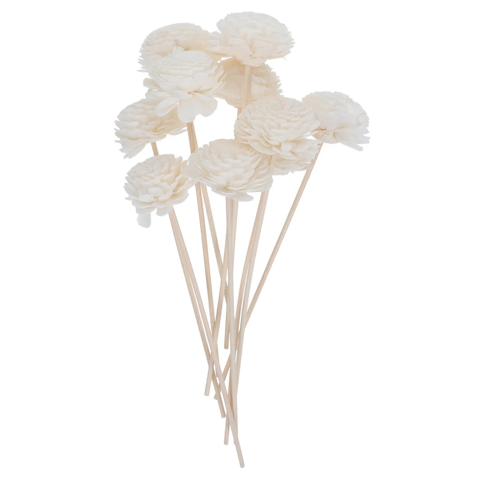 10 Pezzi Bastoncini Diffusori di Aromi Artificiali, Alette Decorative per Bottiglie di Oli Essenziali, Diffusore per Aromaterapia, Fragranza per Casa e Ufficio
