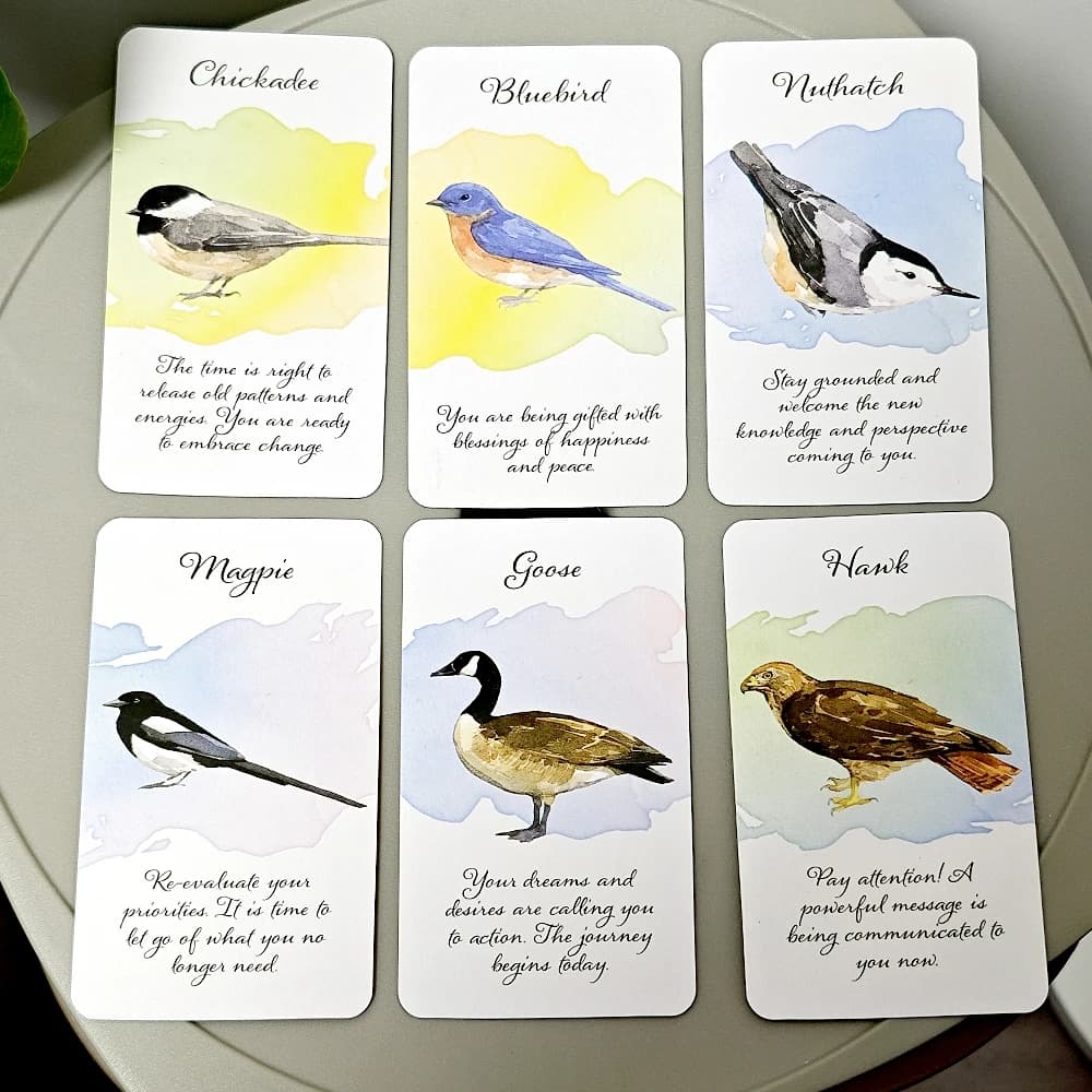 Giochi di carte Oracle Messenger con piume divine da 10,3 * 6 cm Mazzo ispiratore di carte da 44 pezzi