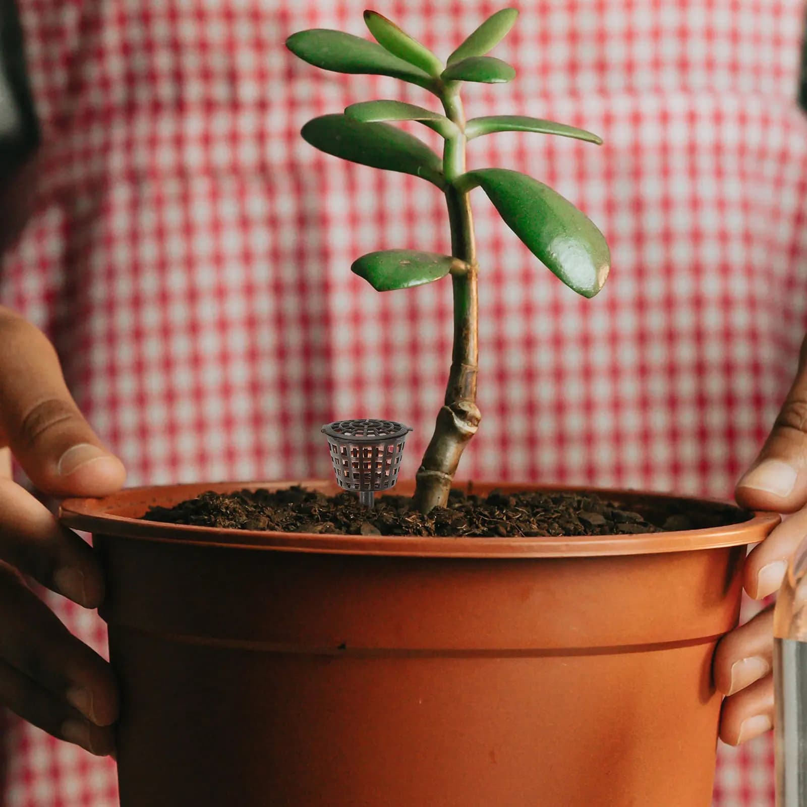 Set di 20 contenitori per fertilizzante in plastica con coperchio per vasi da fiori, per la cura delle piante da interno ed esterno, per uso in giardino