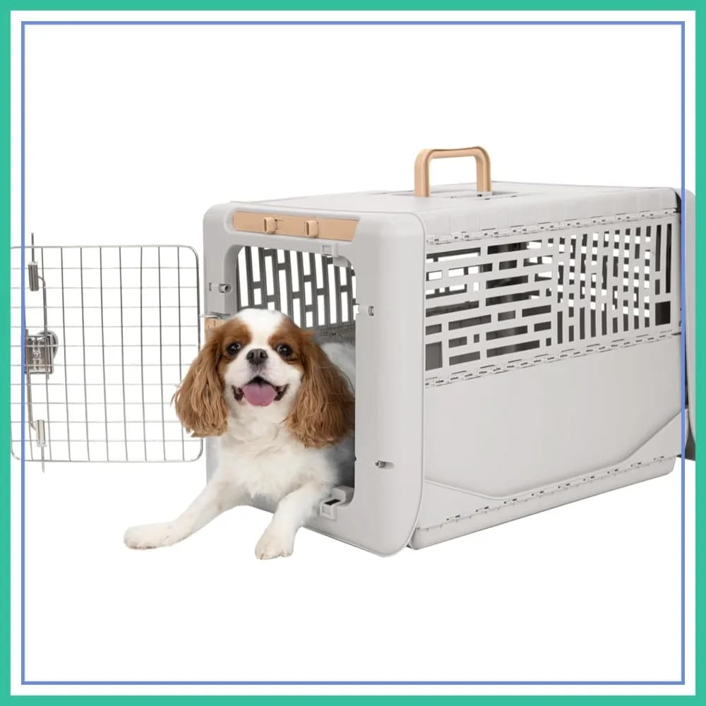 Trasportino Pieghevole per Piccoli Animali, Gabbia Rigida per Cani e Gatti fino a 11 kg, Lavabile per Interni ed Esterni 62x42x41 cm
