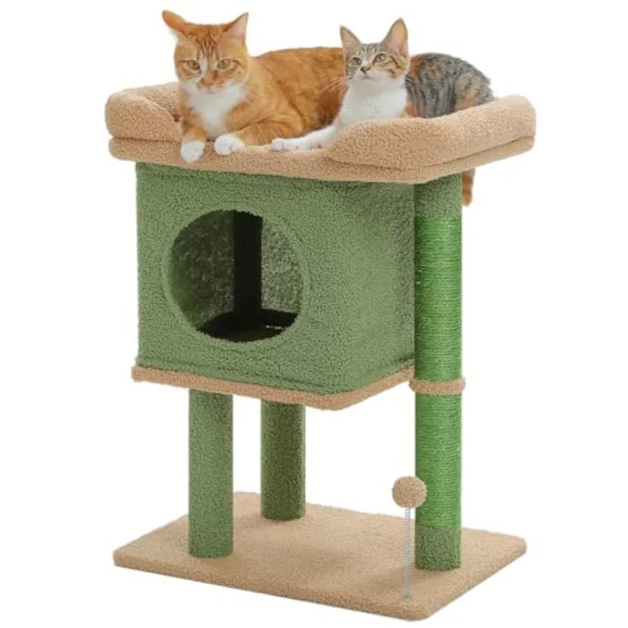 Tiragraffi per gatti da porta 26 ch Cactus Cat Tower con ampio posto di appoggio, cuccia privata, cuccia piccola per gatti con palla a molla e 2 pali da grattare