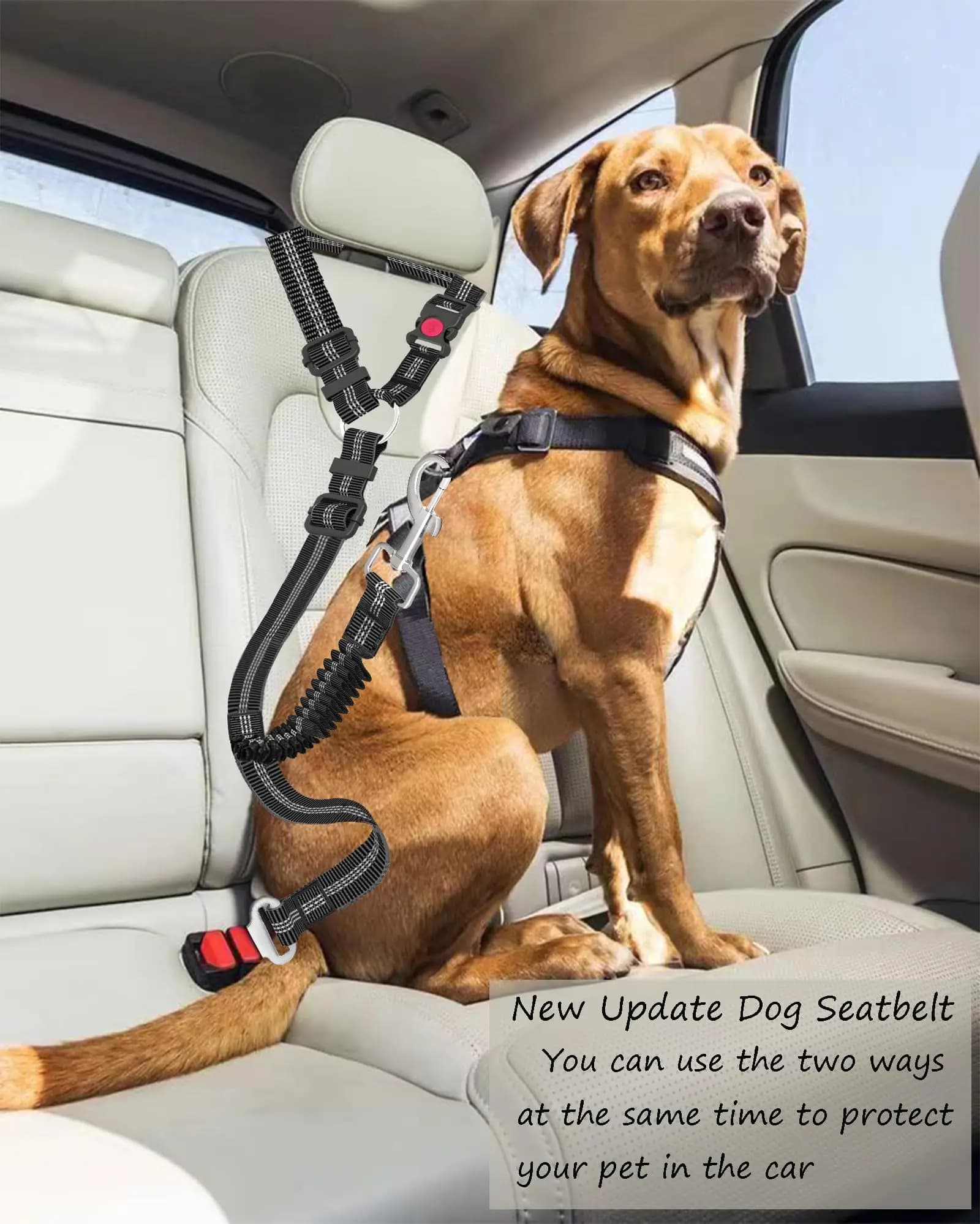 Cintura di sicurezza per auto per cani regolabile e resistente - Corda di trazione per cani di grandi dimensioni in nylon a strisce per viaggi in auto
