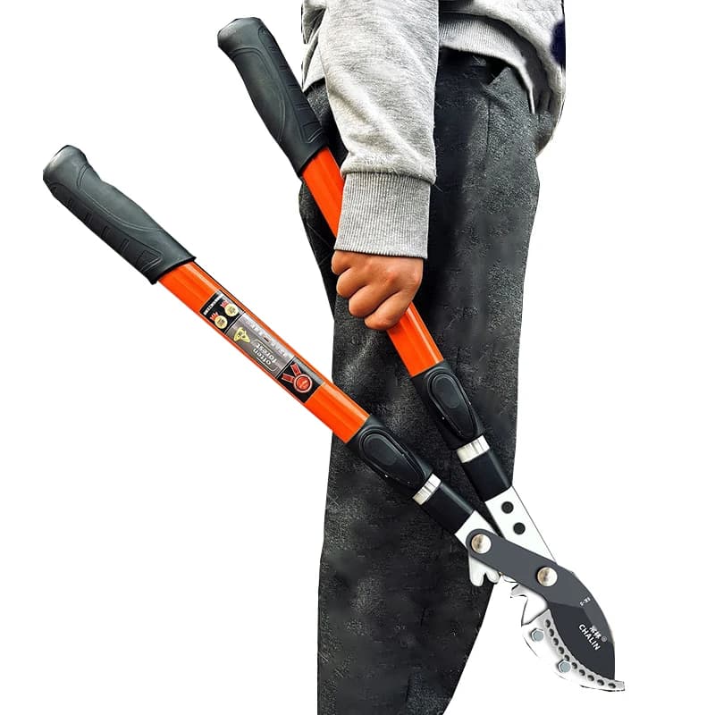 Garden pruning tools Garden gardening fruit trees pruning shears Bonsai Vegetable pot Large manual shearing tool for pruning