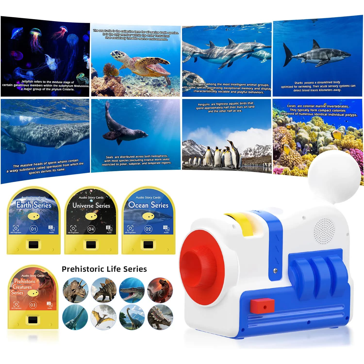 Macchina per Proiezione Storie con Luce Notturna, 4 Schede Audio Incorporate, Regalo per Bambini e Bambine dai 3 Anni in Su