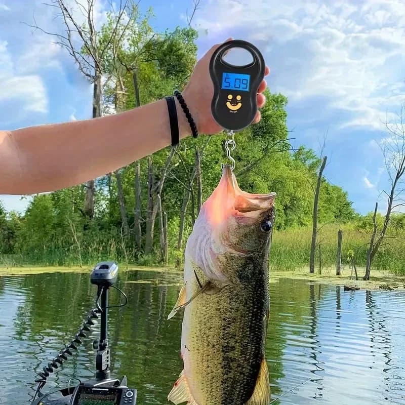 Bilancia digitale da appendere da 50 kg (110 libbre) – LCD retroilluminato con funzione tare, ricaricabile per bagagli, pesca e viaggi