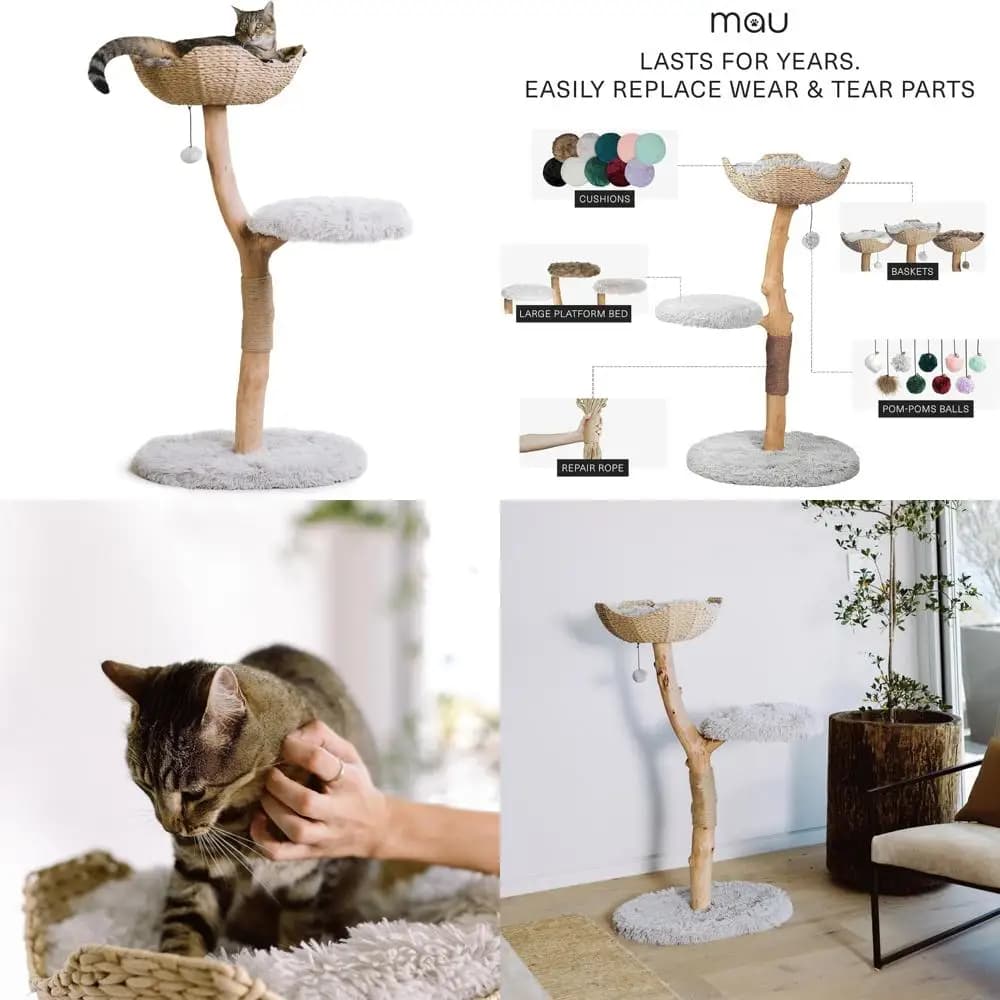 torre per gatti contemporanea in legno con persico a ramo singolo per arrampicata e giocare, mobili ideali per regali per gli appassionati di gatti e gatti