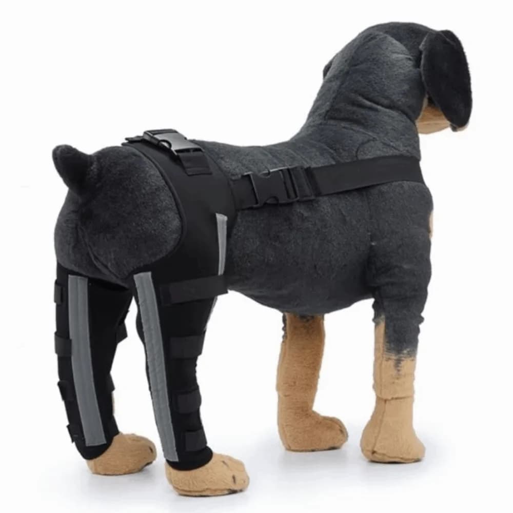 Supporto Regolabile per Ginocchio di Cane, Comodo e Traspirante, con Striscia Riflettente per Zampe Posteriori