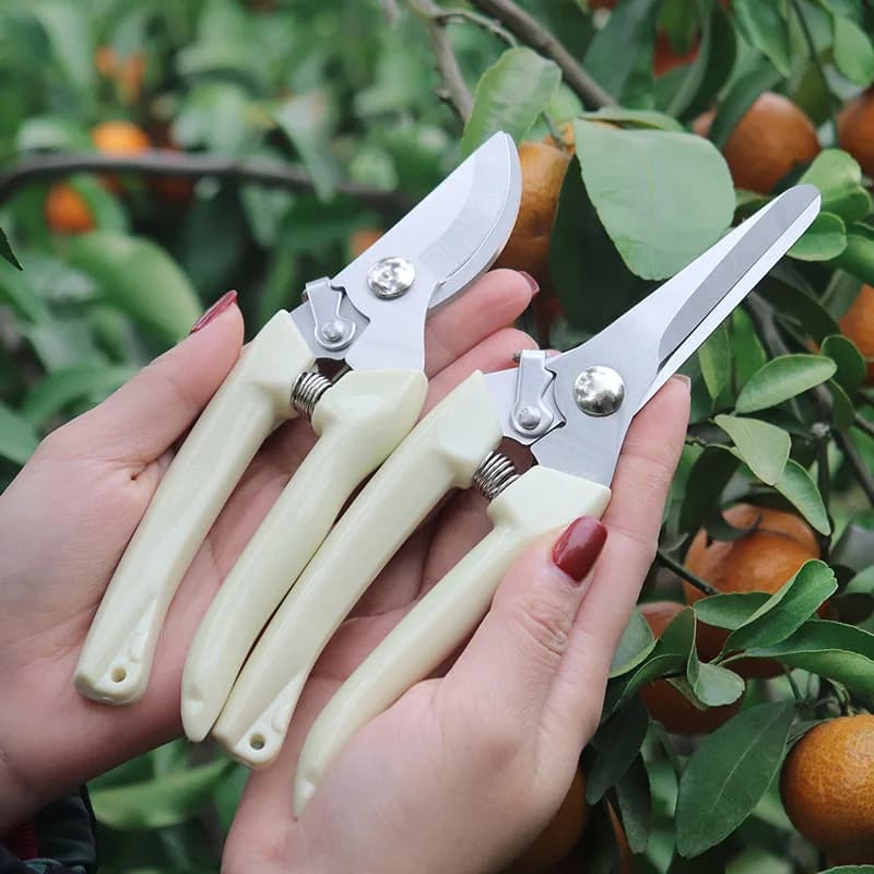 Forbici da giardino a doppio stelo, cesoie per potatura, forbici per piante a doppio uso dritte e curve, resistenti, adatte per la potatura