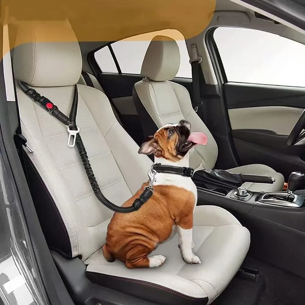 Black 2 in 1 Dog Car Harness Belt, Adjustable Anti-Shock Elastic Bungee Pet Restraint with Headrest Clip for All Vehicles