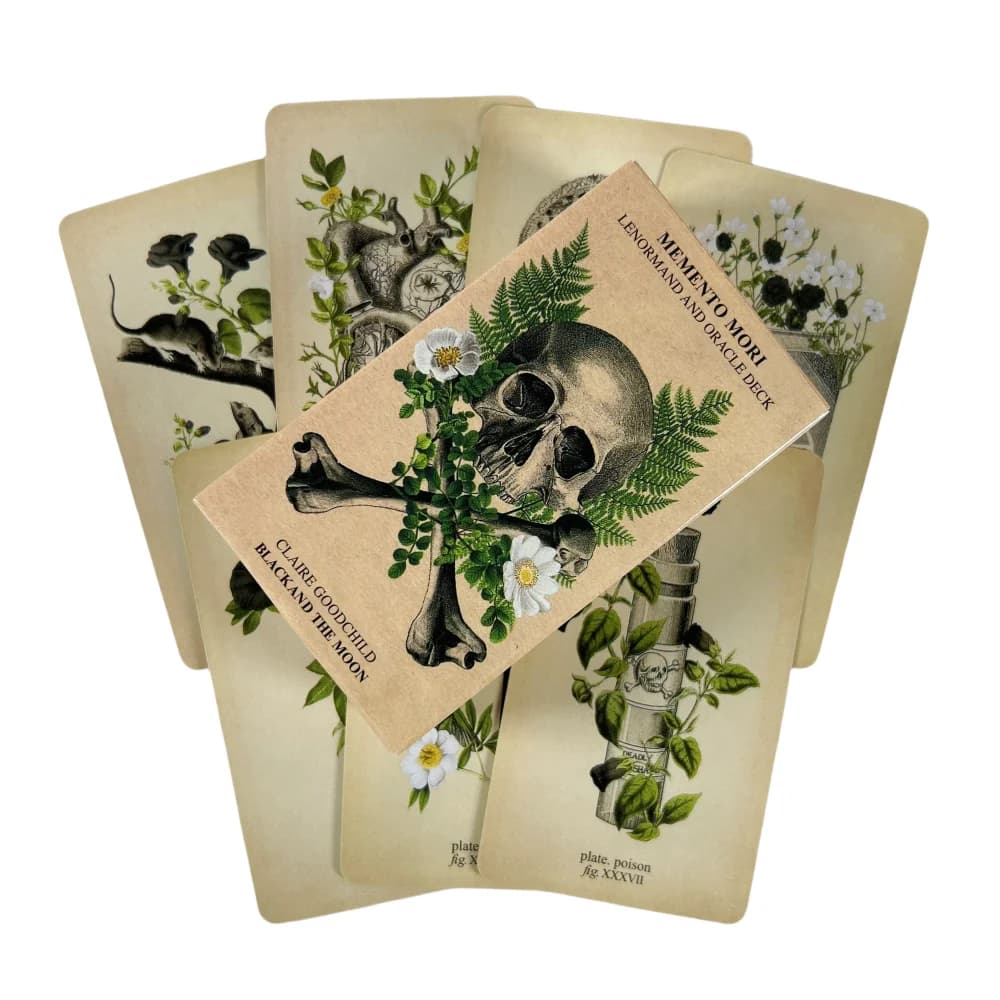 Memento Mori Lenormand e Oracle Deck Tarocchi Carte Black And The Moon Visions English Divination Edition Borad Giocando a Giochi