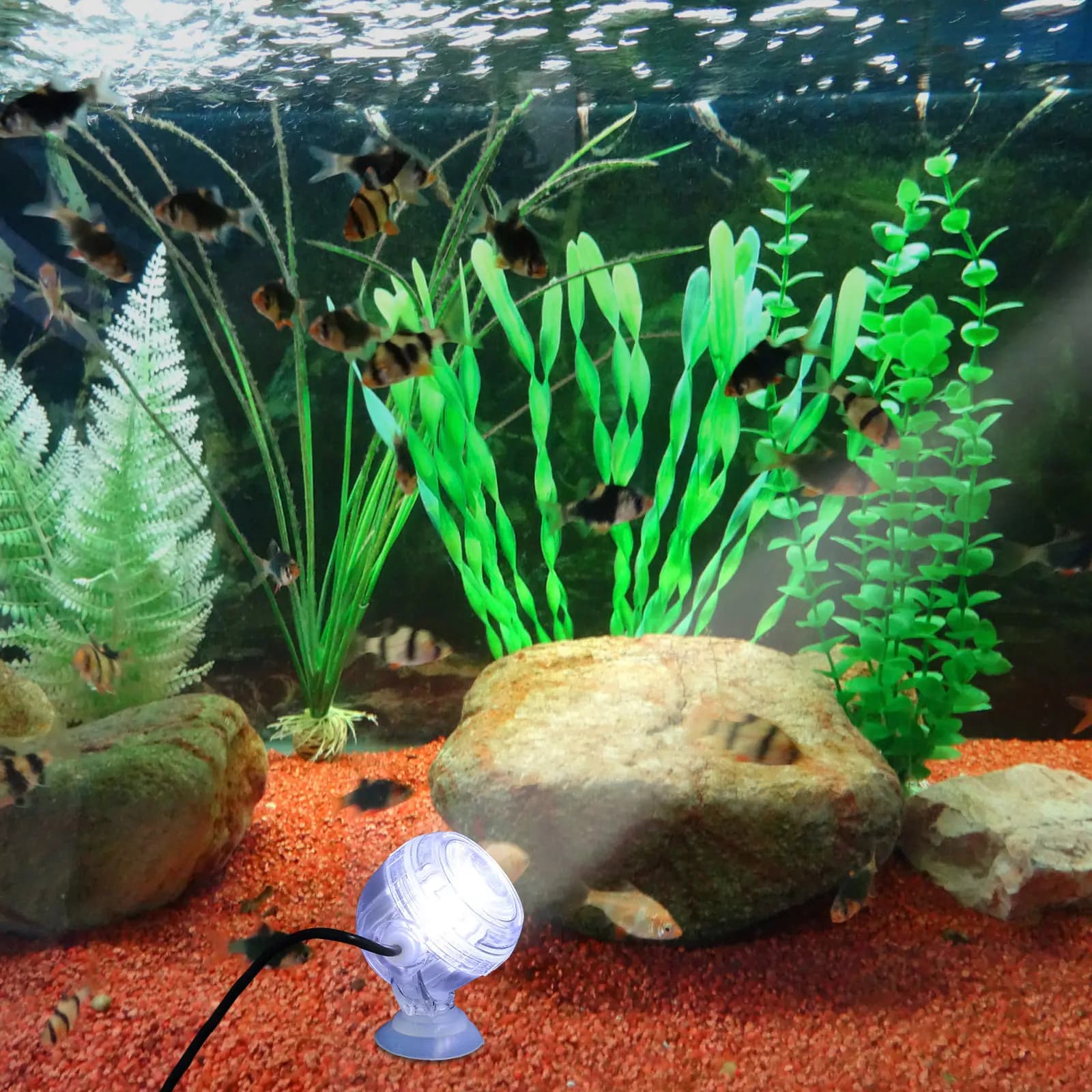 Piccola Luce LED per Acquario, Impermeabile, Cambio Colore, Illuminazione Notturna per Vasche dei Pesci, Faretti LED Impermeabili per Laghetti