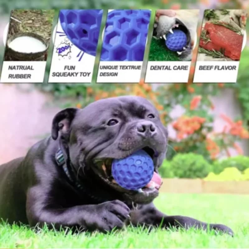 Nuovi Giocattoli per Cani Resistenti ai Morsi, Palline Interattive a Nido d'Ape con Suono, in Gomma Naturale per la Pulizia dei Denti, Prodotti per Animali Domestici