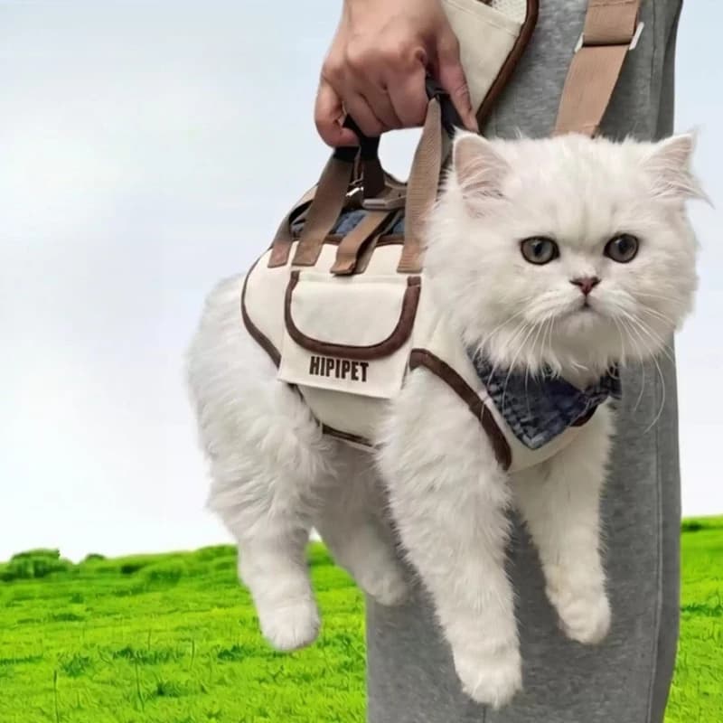 Small Pet Hind Leg Walking Aid Harness for Dogs Cats, Support Strap for Arthritis & Weak Hind Legs, Outdoor Auxiliary Carrier