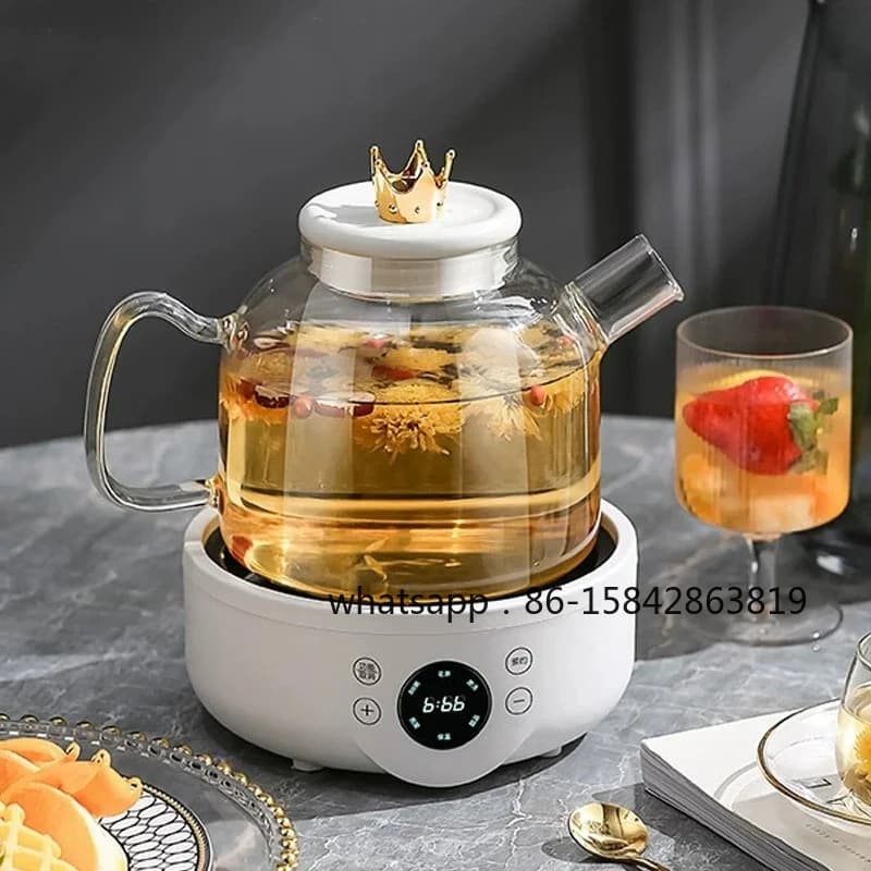 110V Health Kettle Electric Boiler Teapot Multifunctional