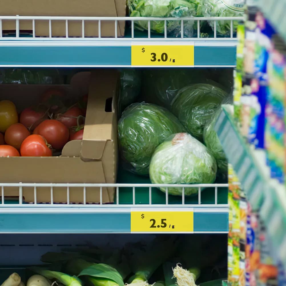 30 Pezzi di Strisce Adesive per Etichette Prezzi, Supporti in Plastica Trasparente Facilmente Sostituibili, Organizzatori per Etichette da Scaffale, Espositori per Supermercati